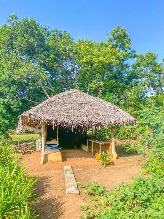 Green Villa Yala Tissamaharama Exterior foto